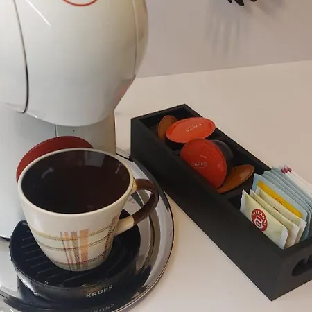 Apartma Rimljanka Apartment *