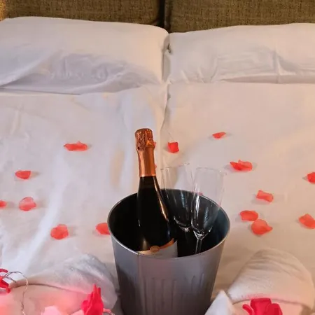 公寓 Apartma Rimljanka *