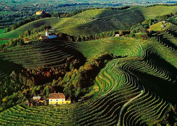 Apartma Rimljanka Διαμέρισμα Πτούι